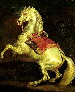 Theodore   Gericault cheval cabre, dit tamerlan oil painting